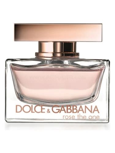 rose one dolce gabbana|dolce gabbana the one price.